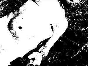 Double Creampie All Inside - Hentai 3D